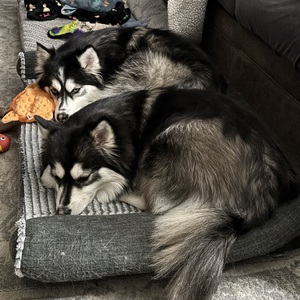 Fundraising Page: Emily Skinner